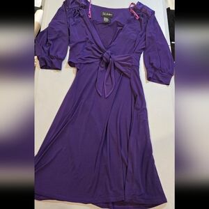 S.L. Fashions Elegant Purple Long Sleeve Dress 3c21